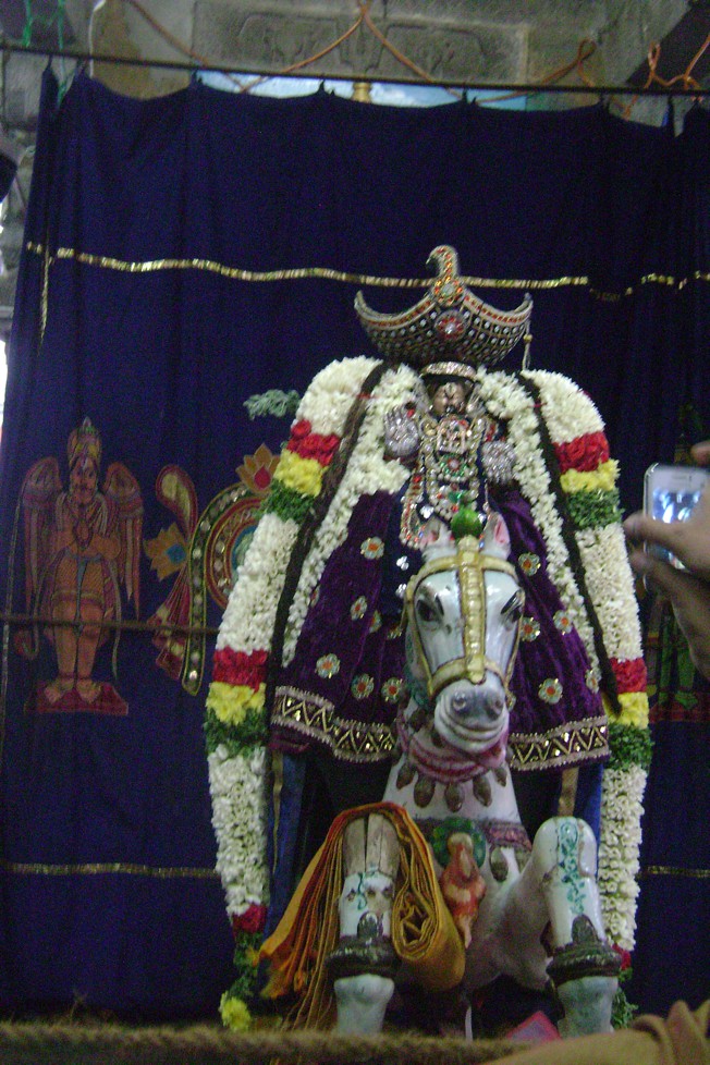 Mylapore Mayuravalli Thayar Navarathri_02