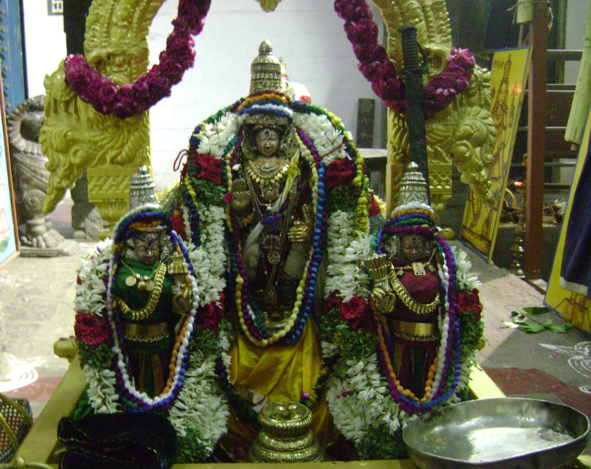 Mylapore Sri Adikesava Perumal Pavithrotsavam