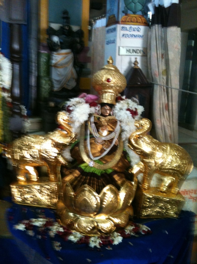 Ranganayaki Thayar New Delhi Sri Vaikuntanathji Mandir1