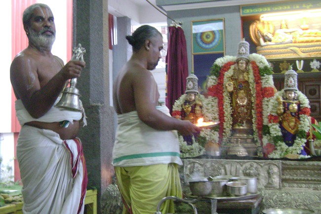 SVDD Srinivasa Perumal kovil  THirukalyana utsavam  2013-03