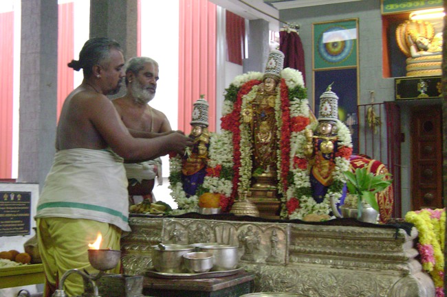 SVDD Srinivasa Perumal kovil  THirukalyana utsavam  2013-06