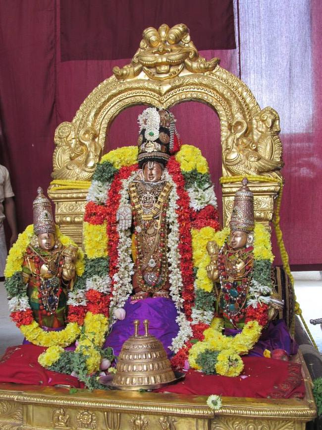SVDD  Swami Desikan THirunakshatra utsavam  2013 Pathopu Purappadu -18