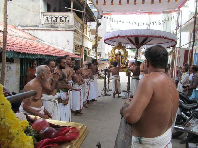 SVDD  Swami Desikan THirunakshatra utsavam  2013 Pathopu Purappadu later -07