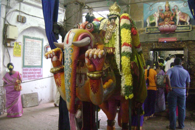 Sri Mayuravalli Thayar Navarathiri Utsavam  2013 - DAY1-00