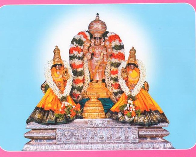 Sri Prasanna Venkatachalapathi Perumal temple Brahmotsavam 2013-14