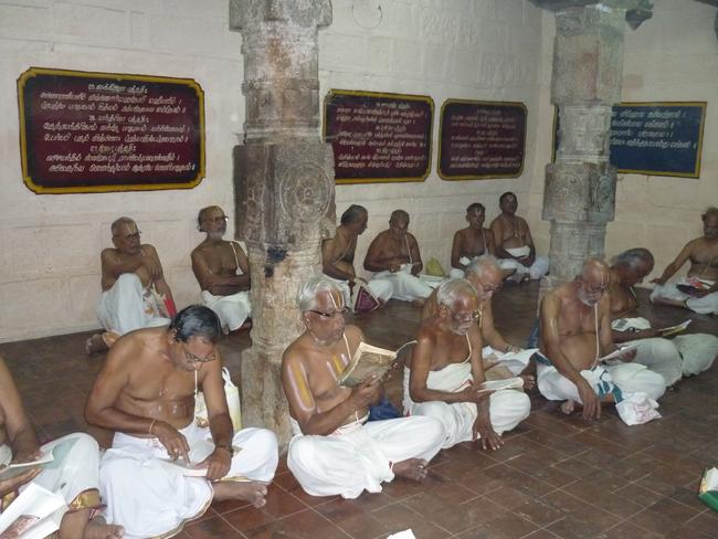 Srirangam ull Desikan Sannathi Thirunakshatra utsvam day 11  2013 -12