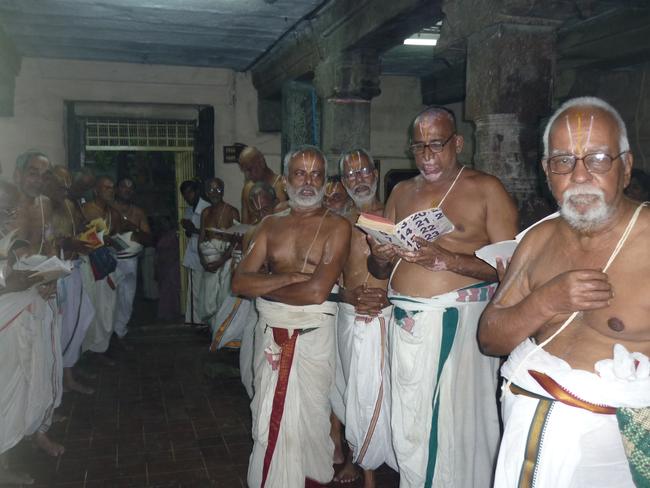 Srirangam ull Desikan Sannathi Thirunakshatra utsvam day 11  2013 -16
