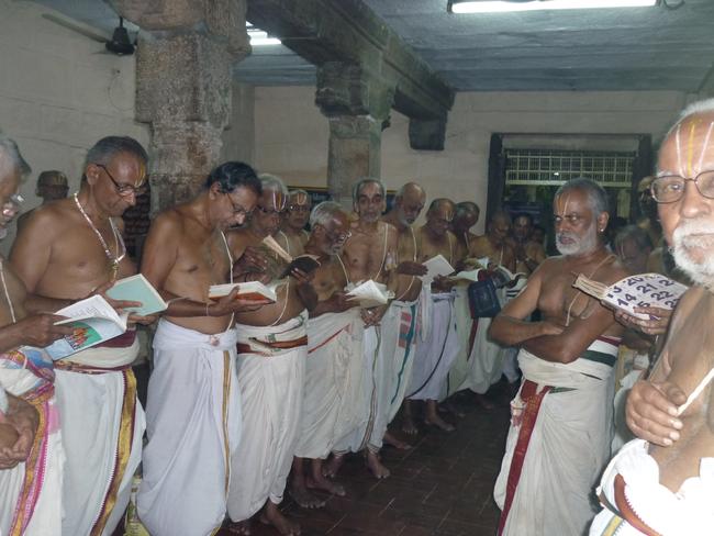 Srirangam ull Desikan Sannathi Thirunakshatra utsvam day 11  2013 -17
