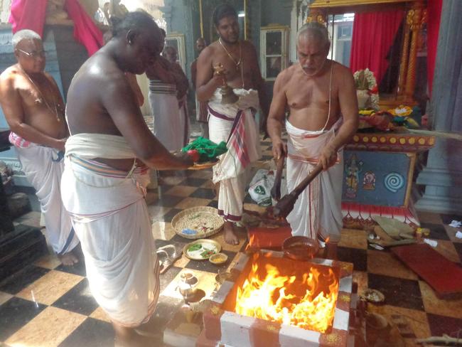 Taramani Sri Prasanna Venkatesa Perumal Pavithrotsavam Day 1 2013 -03