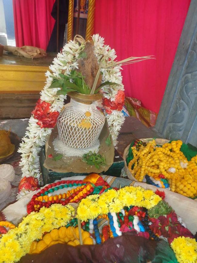 Taramani Sri Prasanna Venkatesa Perumal Pavithrotsavam Day 1 2013 -06