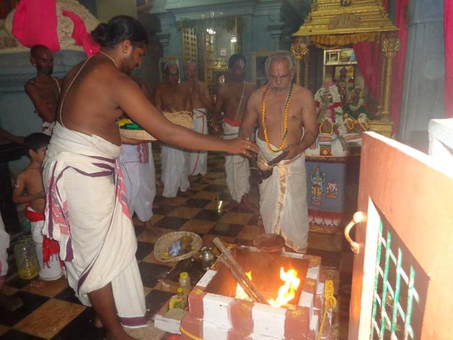 Taramani Venkatesa perumal Pavithrotsavam day 1 eve  2013 -01