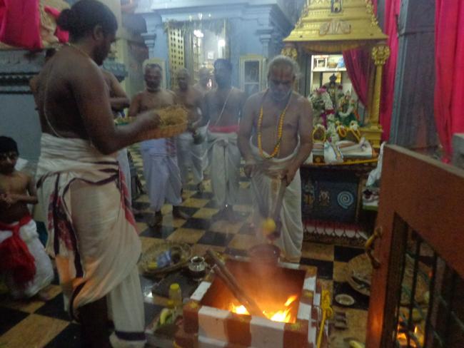 Taramani Venkatesa perumal Pavithrotsavam day 1 eve  2013 -07