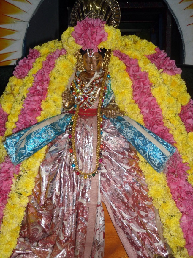 Thirukannamagai Swami Desikan Utsavam Day 5 2013-14