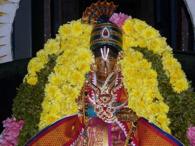 Thirukannamangai Swami desikan Utsavam  2013 day 8- 07