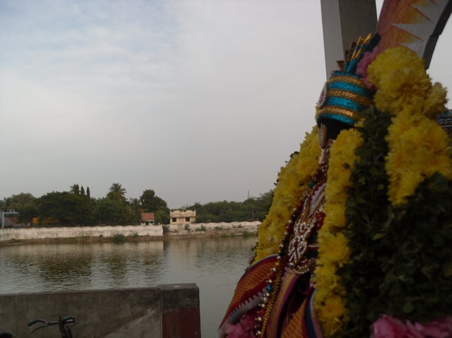 Thirukannamangai Swami desikan Utsavam  2013 day 8- 16
