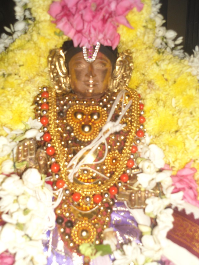 Thirukkanmangai_Swami Desikan_29