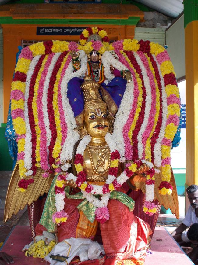 Thirukkannamangai Udhaya Garuda Sevai on pavithrotsavam day 3 2013 -01