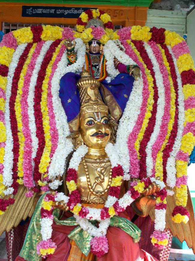 Thirukkannamangai Udhaya Garuda Sevai on pavithrotsavam day 3 2013 -03