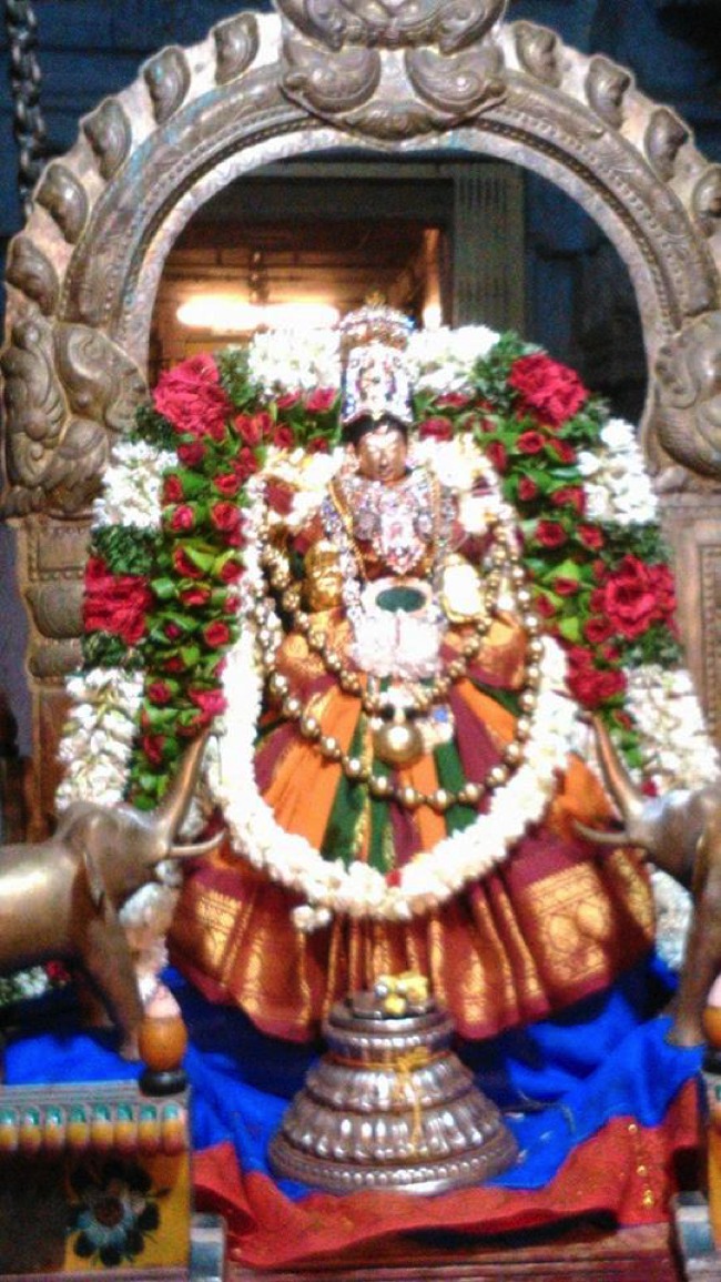 Thiruppullani Adhi Jagannatha Perumal Navarathiri Utsavam 2013 day 1,2-0001