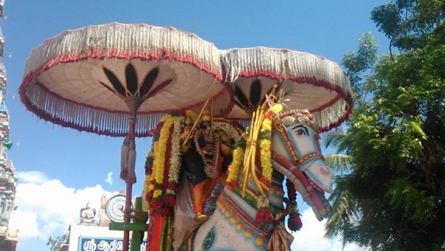 Thiruppullani Vijadasami Purappadu 2013 -06