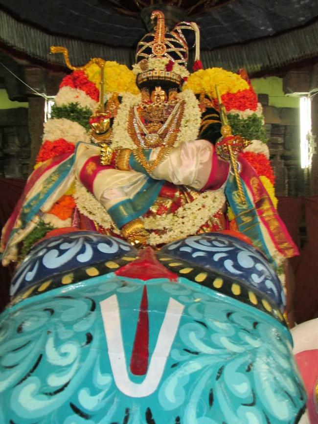 Thiruvahindrapuram Brahmotsavam Yanai Vahanam  2013 day 7-07