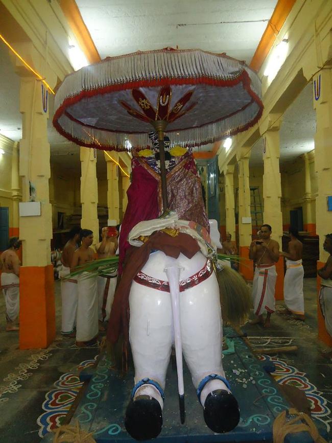 Thiruvahindrapuram Brahmotsavam Yanai Vahanam  2013 day 7-09