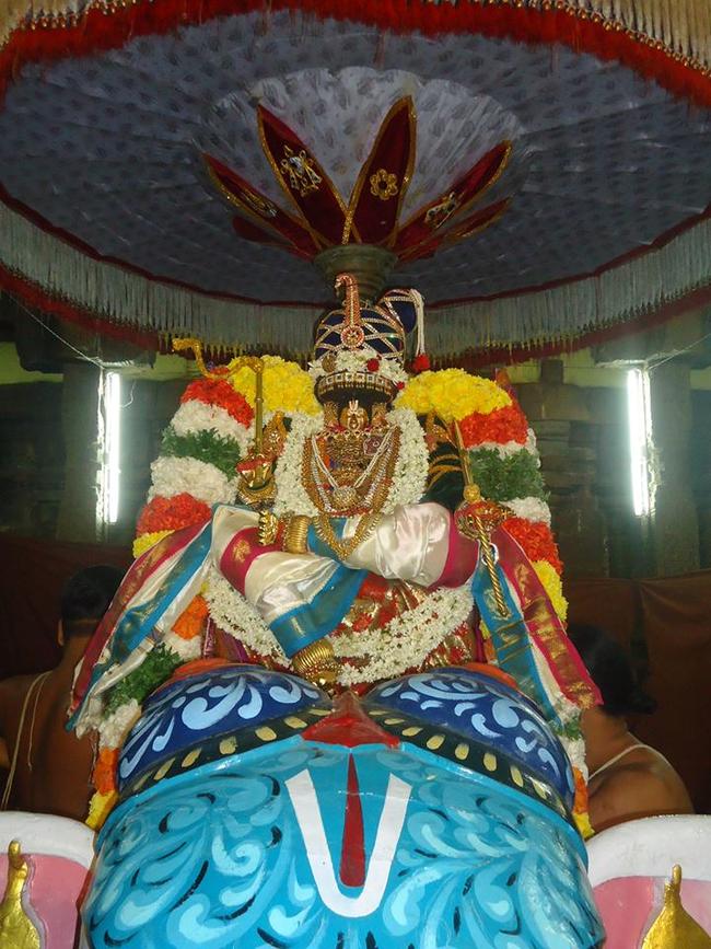 Thiruvahindrapuram Brahmotsavam Yanai Vahanam  2013 day 7-13