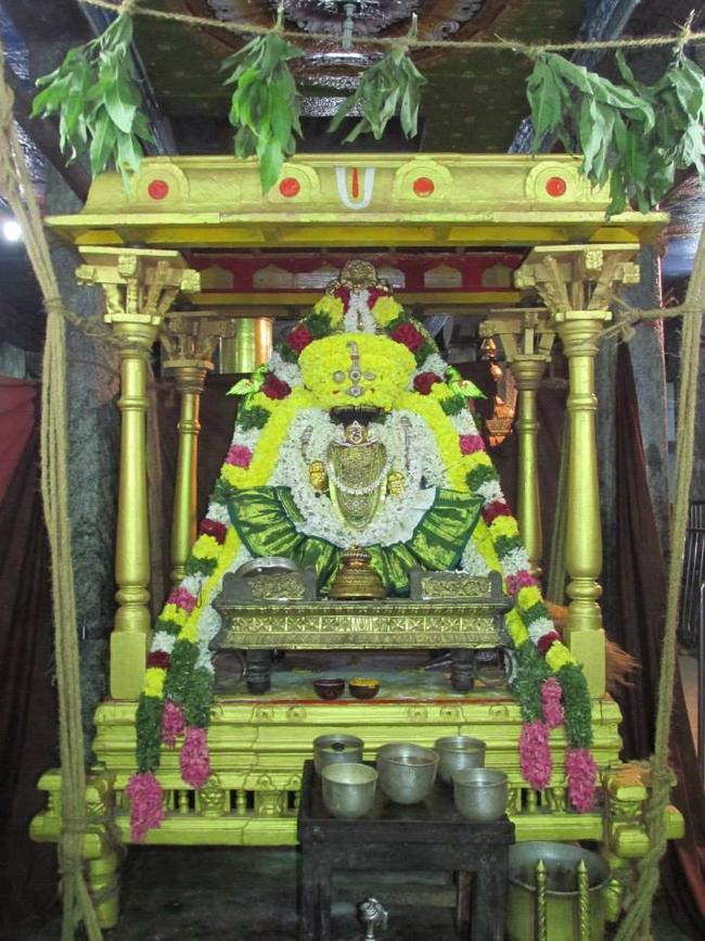 Thiruvahindrapuram Thayar dolai utsavam 2013 -02