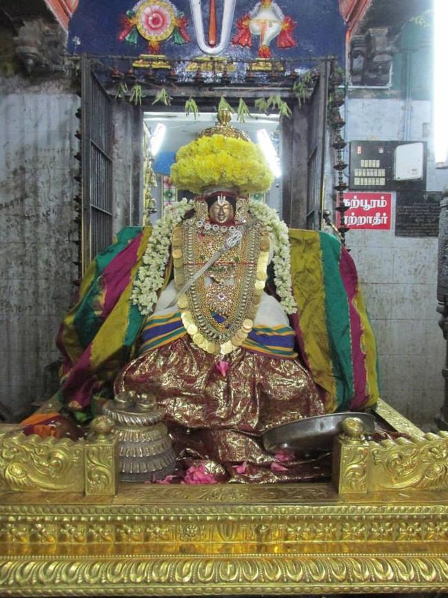 Thiruvahindrapuram Thayar dolai utsavam 2013 -03