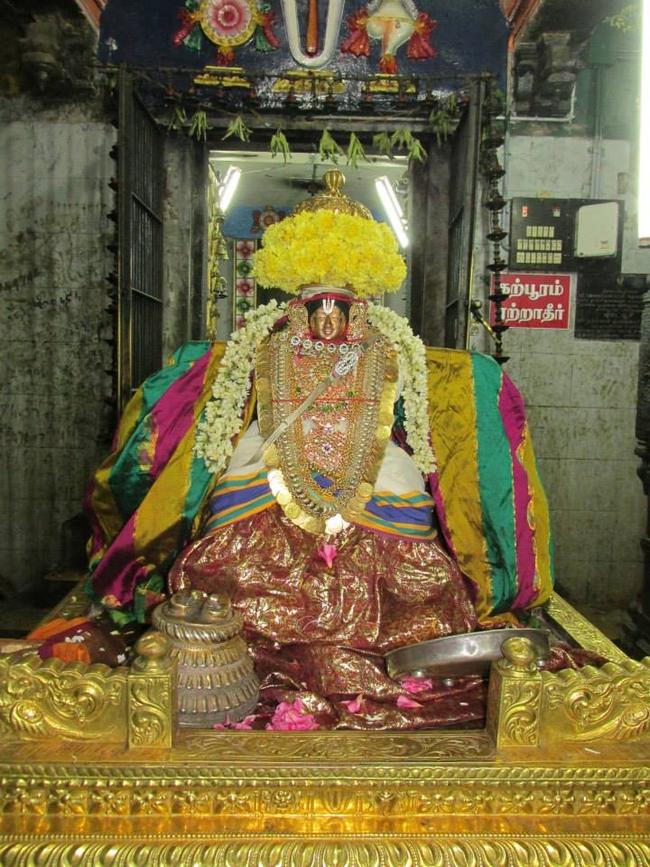 Thiruvahindrapuram Thayar dolai utsavam 2013 -04