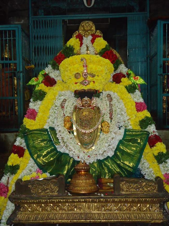 Thiruvahindrapuram Thayar dolai utsavam 2013 -05