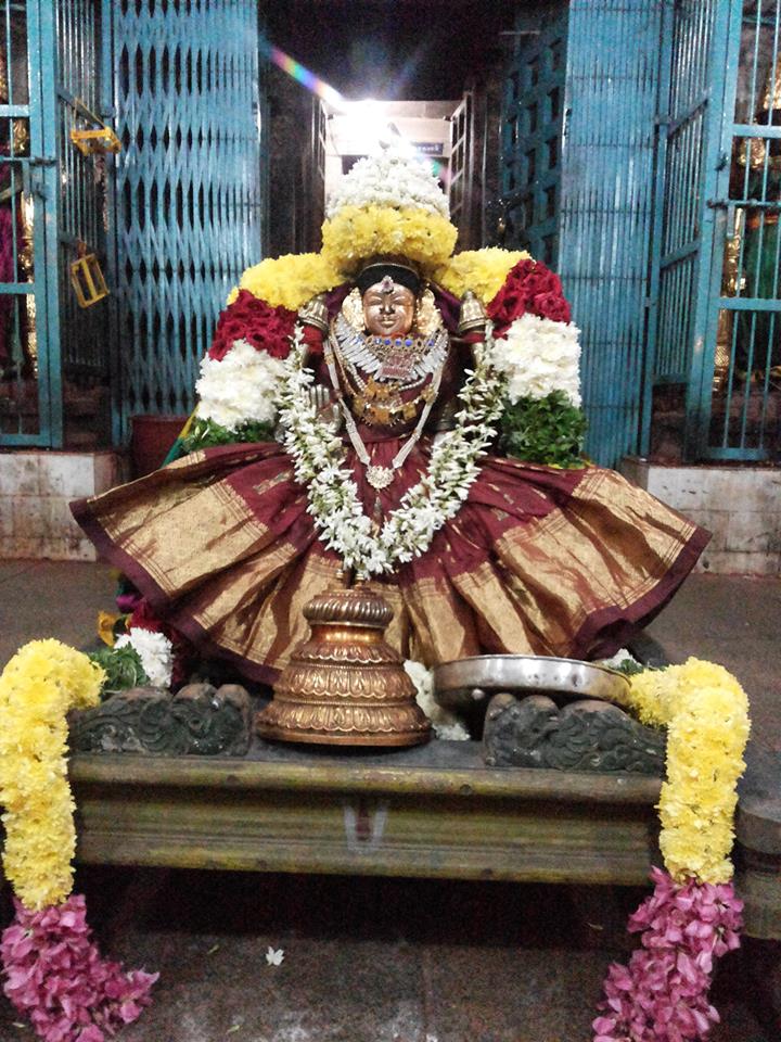 Thiruvahindrapuram_Purattasi Utsavam_Day01_5