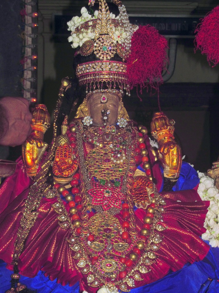 Thiruvallur Swami Desikan Thirunakshatram Thayar