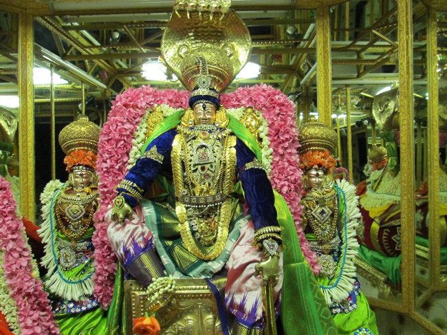 Thiruvellukai Thayar Navarathri utsavam Day-4 201304