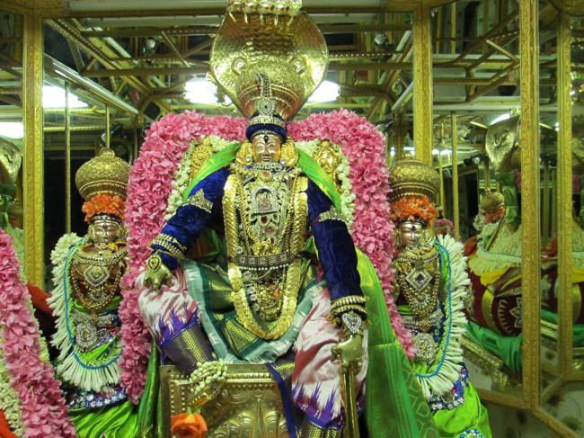 Thiruvellukai Thayar Navarathri utsavam Day-4 201305
