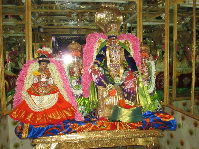 Thiruvellukai Thayar Navarathri utsavam Day-4 201324