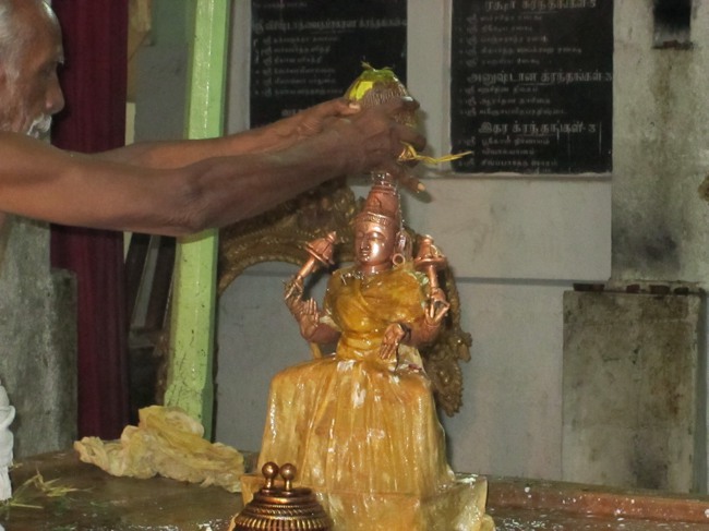 Thoopul Swami Desikan Mahotsavam THirumanjanam2013 DAY 5 mor-17