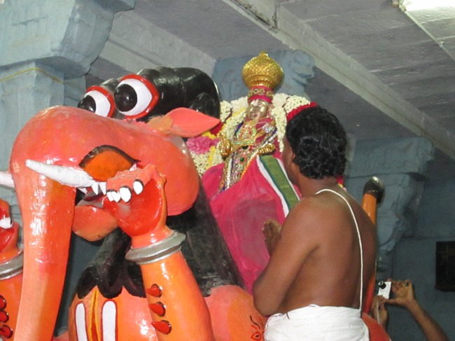 Thoopul Swami Desikan Utsavam  day 5 Yali vahanam 2013-00