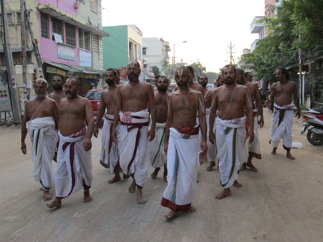 Thoopul Swami Desikan Utsavam  day 5 Yali vahanam 2013-47