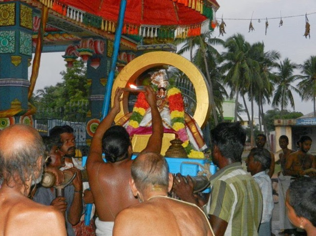 Vaduvur Swami Desikan THirunakshatra Purappadu-11