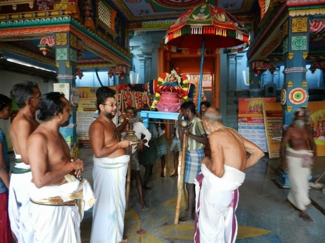 Vaduvur Swami Desikan THirunakshatra Purappadu-12