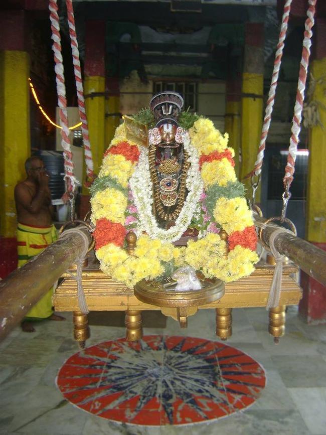 Aminjikarai Swami Manavala Mamuni satrumurai 2013 -03