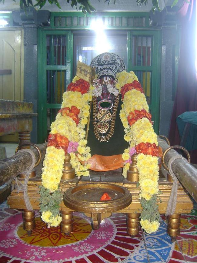 Aminjikarai Swami Manavala Mamuni satrumurai 2013 -10