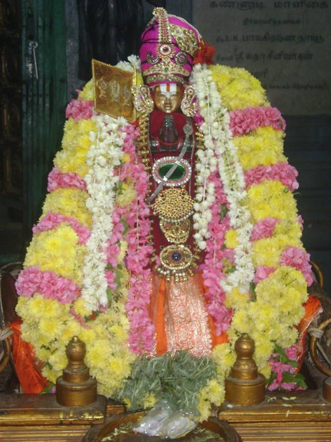 Aminjikarai Swami Manavala Mamuni satrumurai 2013 -17