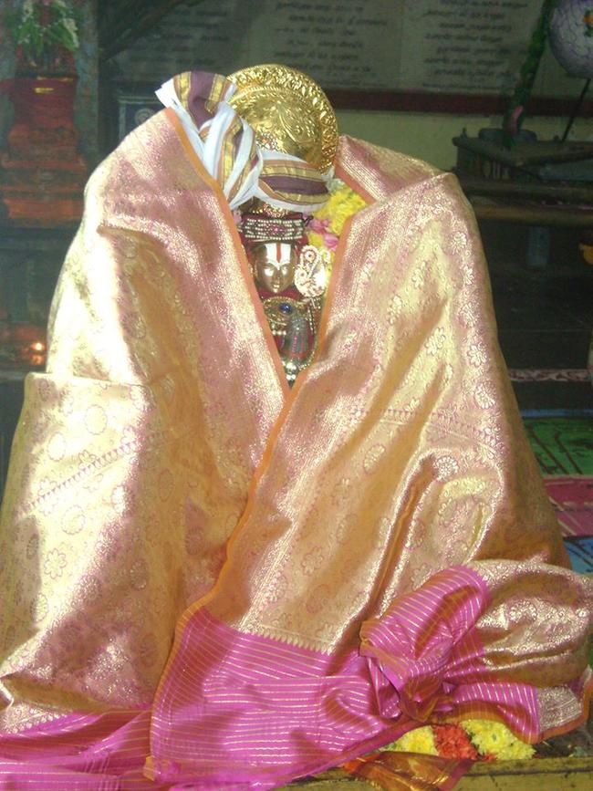 Aminjikarai Swami Manavala Mamuni satrumurai 2013 -19
