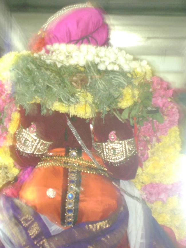 Aminjikarai Swami Manavala Mamuni satrumurai 2013 -24