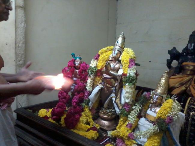 Boothatazhwar avatara utsavam thiruvekka 2013 -5