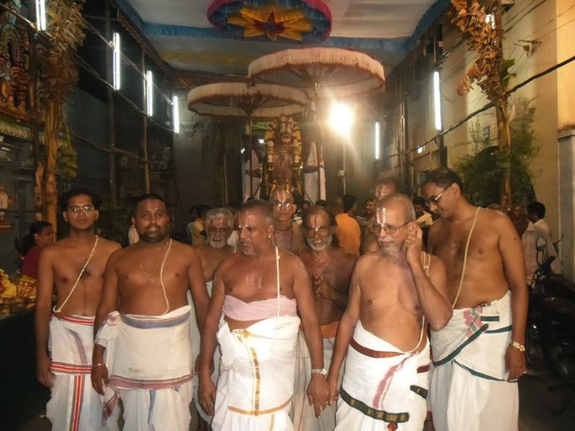 Mylapore Adhikesava perumal Kovil Peyazhwar Avatar utsavam day 7 2013-01