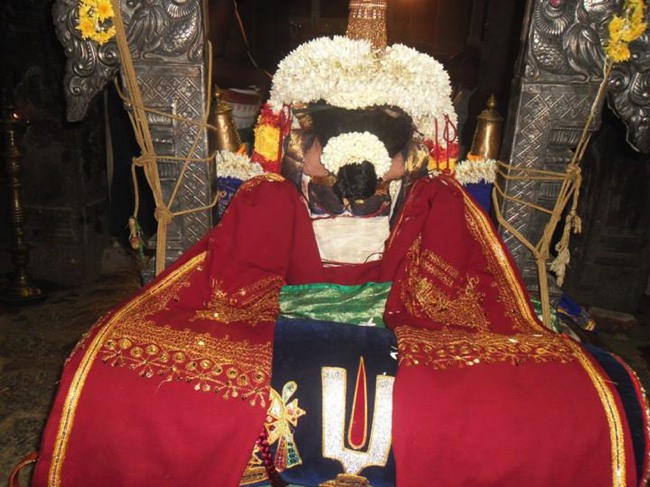 Mylapore adhikesava perumal Swami Manavala Mamunigal utsavam 2013-06
