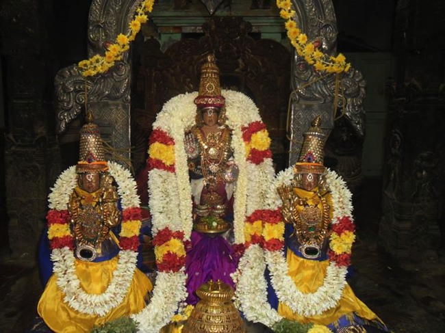 Mylapore adhikesava perumal Swami Manavala Mamunigal utsavam 2013-07